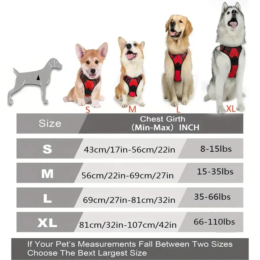 Dog Harness, Collar & Leash Set - Leather Puppy Accessories
