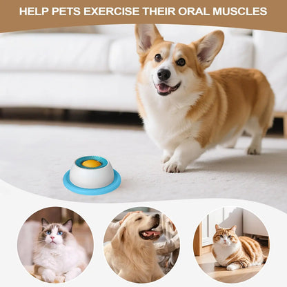 Interactive Dog Feeding Puzzle Toy - Slow Feeder & Boredom Relief for Puppies