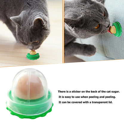 Cat Catnip Licking Candy – Fish Gel Energy Ball Snack to Boost Hydration