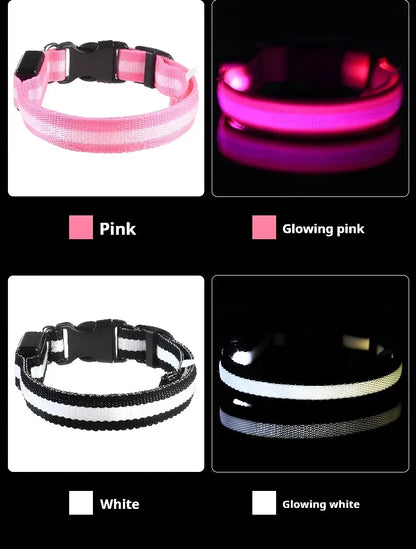 LED Night Safety Dog Collar - Glow in the Dark Flashing