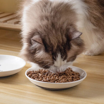 Ceramic Cat Bowl - Anti-Skid Kitten Feeding Dish