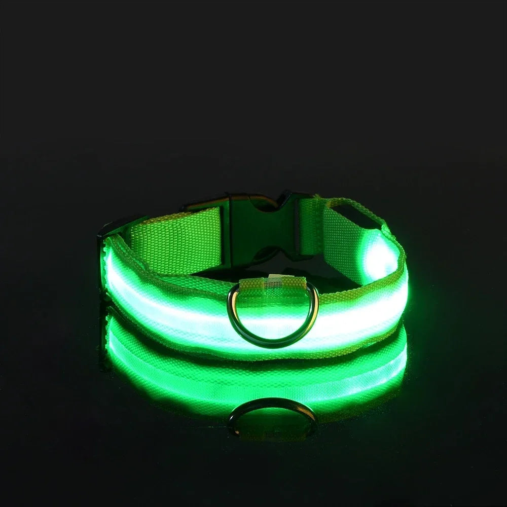 LED Night Safety Dog Collar - Glow in the Dark Flashing