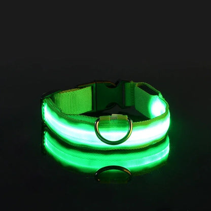 LED Night Safety Dog Collar - Glow in the Dark Flashing