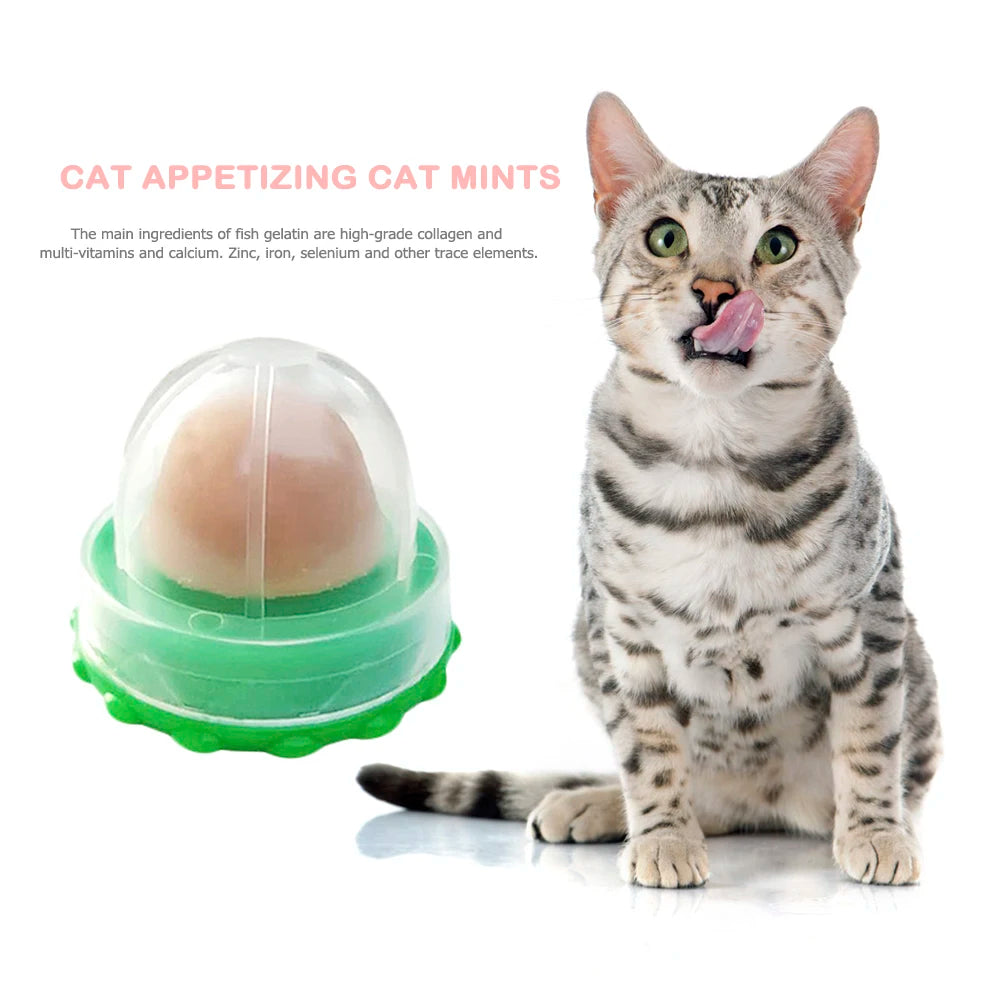 Cat Catnip Licking Candy – Fish Gel Energy Ball Snack to Boost Hydration