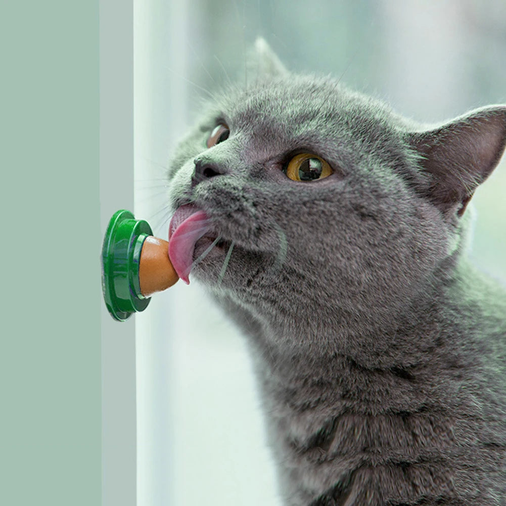 Cat Catnip Licking Candy – Fish Gel Energy Ball Snack to Boost Hydration