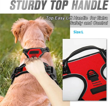 Dog Harness, Collar & Leash Set - Leather Puppy Accessories
